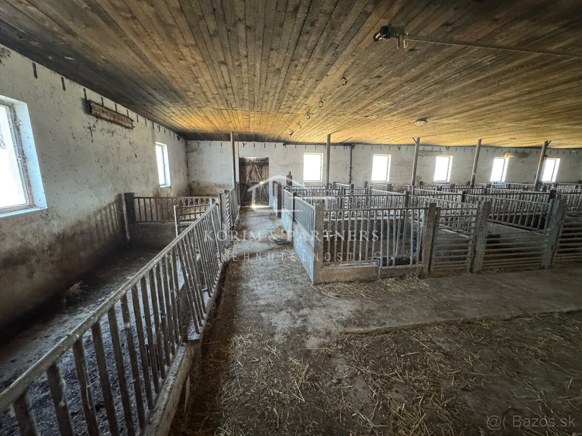 NOVINKA - Rodinná farma na vyše 2,5 hektároch pri Komárne - 19