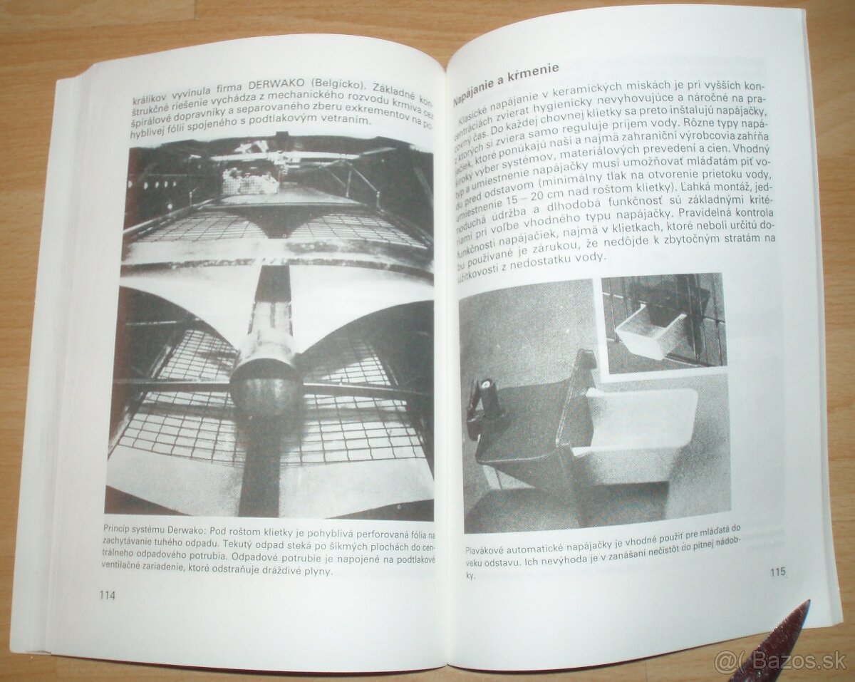 Intenzívny chov brojlerových králikov - 19