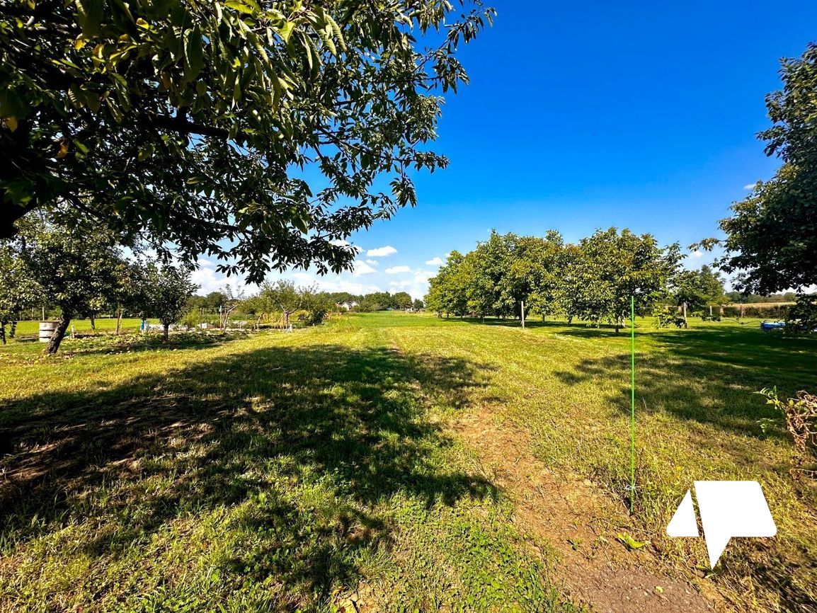 Predaj, 4-izbový rodinný dom s veľkým pozemkom, Dolný Ohaj - 19