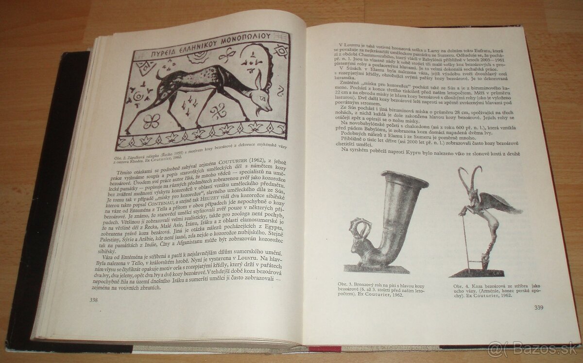 Dutorohá zvěř - 19