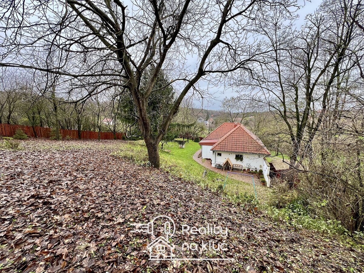 Na predaj krásny 3-izbový rodinný dom v obci Semerovo - 19