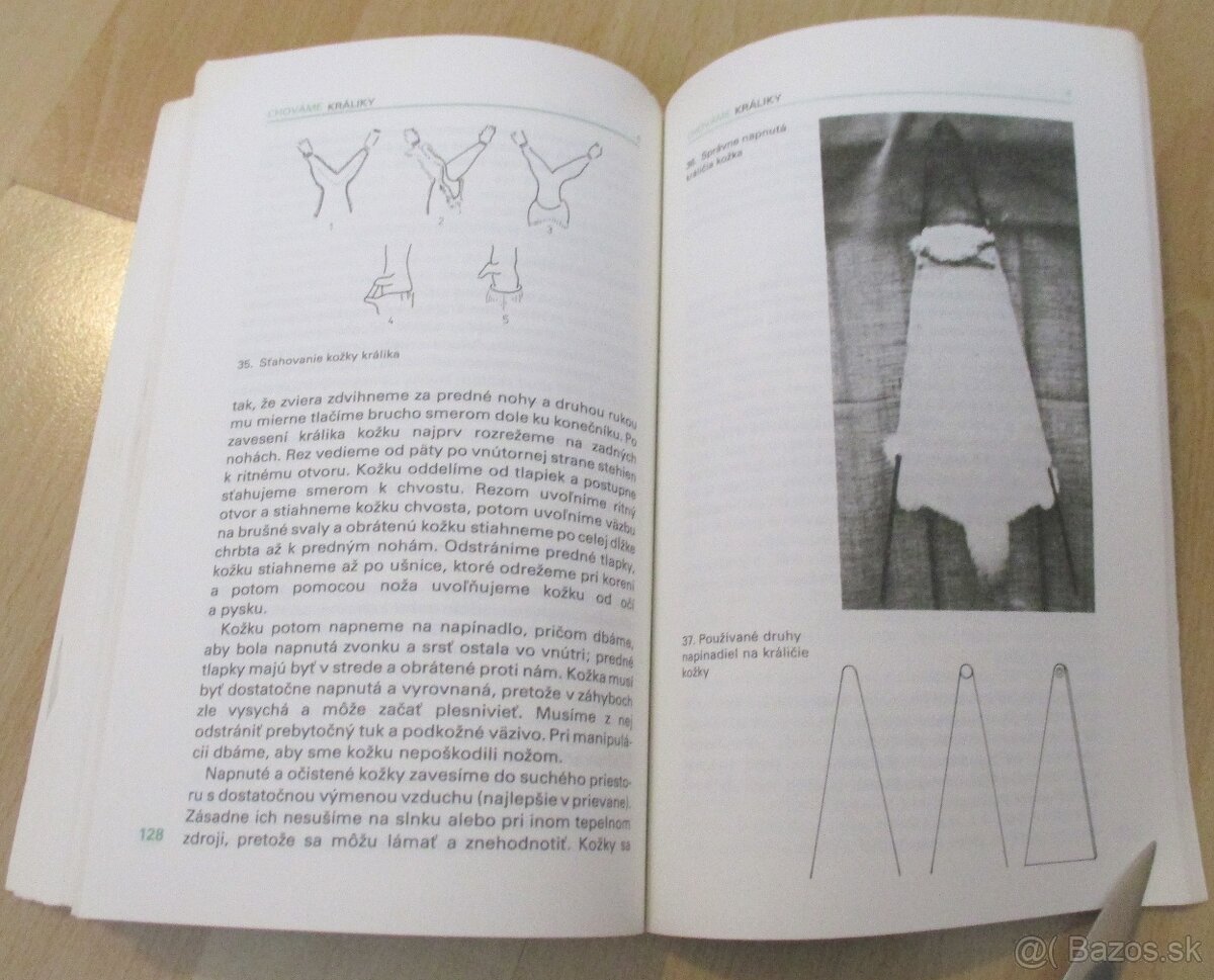 Chováme králiky - 4 - 19
