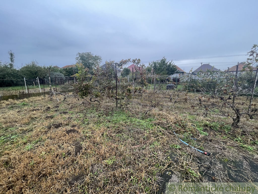 Trojizbový rodinný dom v kľudnej časti mesta Šurany - 19