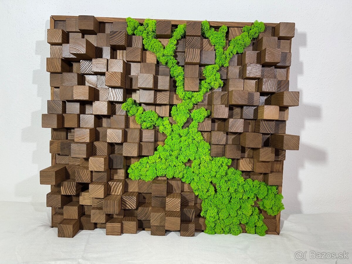 Machové obrazy - akustické difúzory - 19