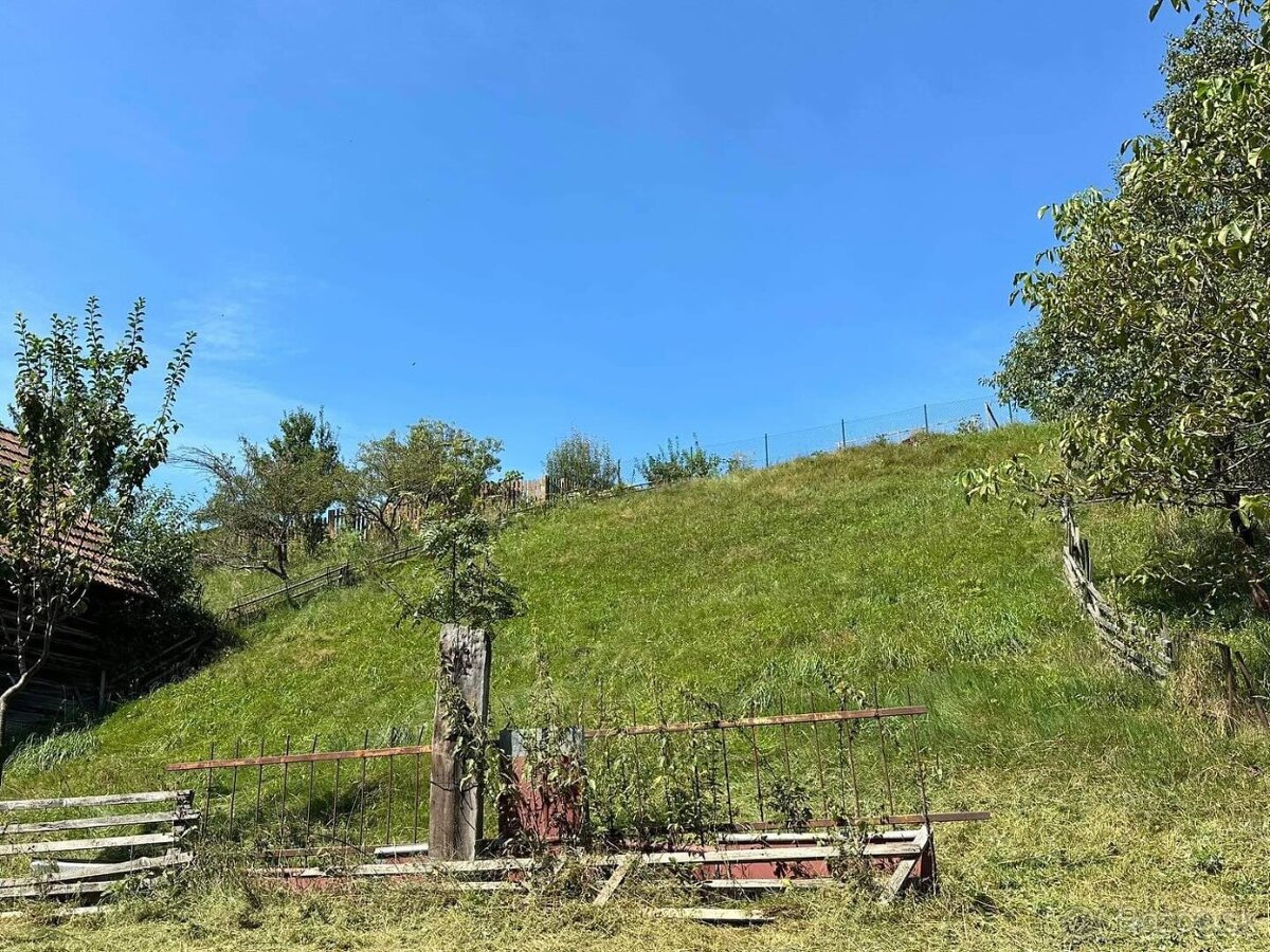 kosenie trávy,strihanie stromčekov- detail Grasscare - 19