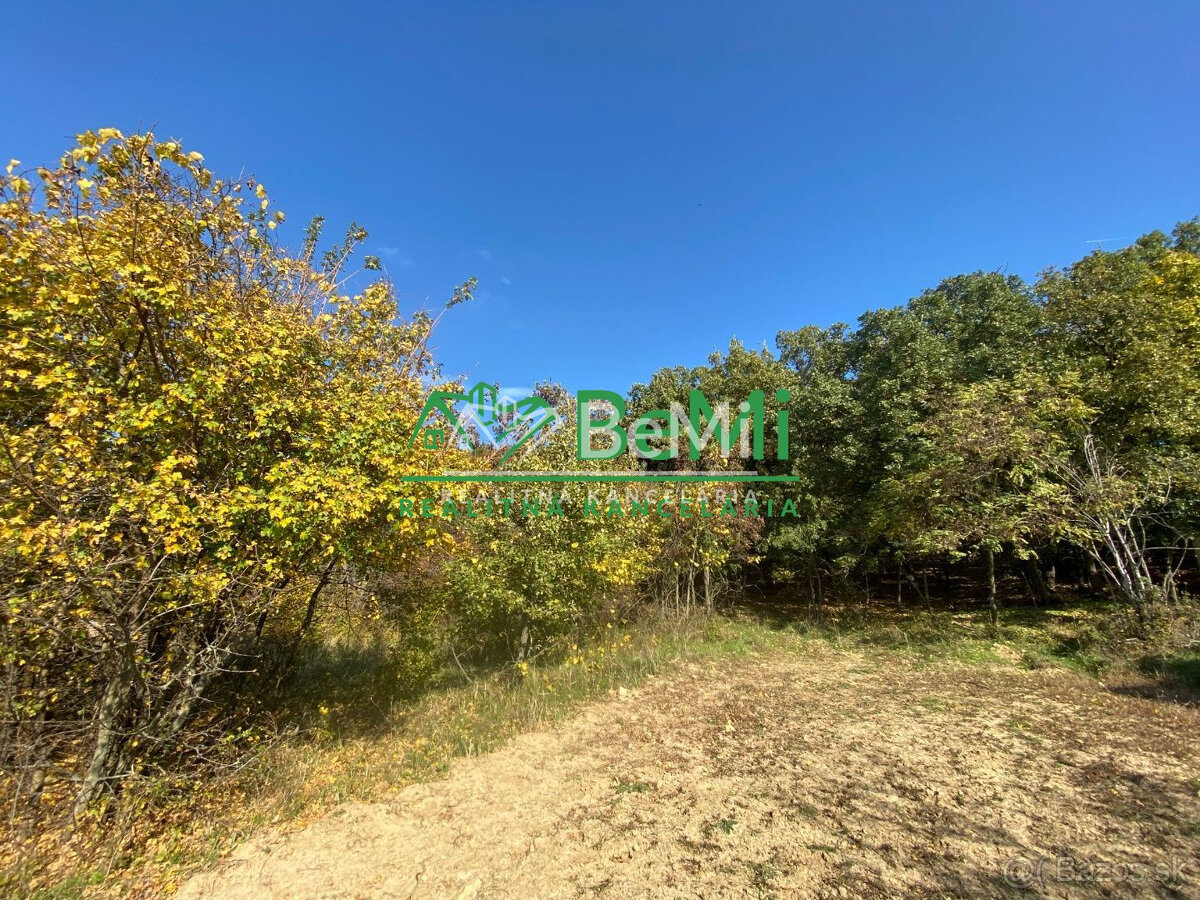 Pozemky Nitra Dražovce " pod Zoborom " ID 528-14-MIG - 19