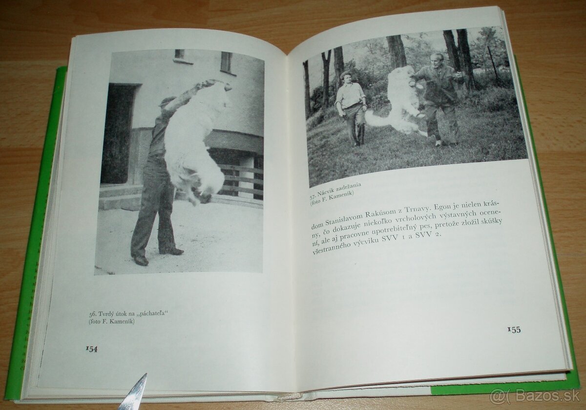 Slovenský čuvač - 19