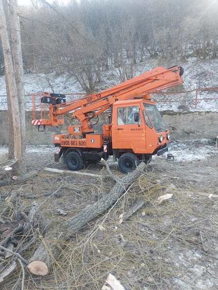 Pílenie a Orezávanie stromov - 19