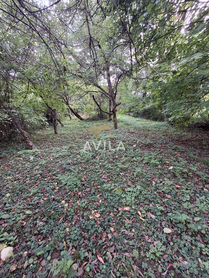 Predaj chalupy s pozemkom 1616m2 v obci Prašník – časť Grnča - 19