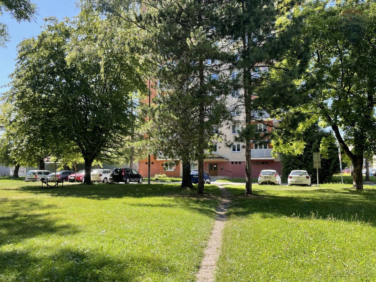 Na predaj:3-izbový byt po rekonštrukcii v širšom centre Brez - 19