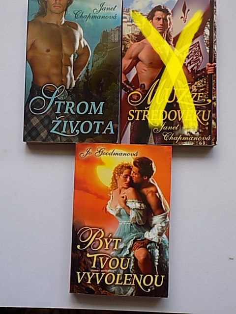 Historické romance - knihy brožované - 19