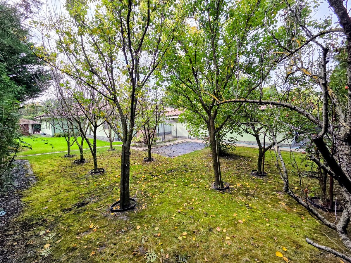 rodinný dom / vila MASLOVCE ( ČENKOVCE / OĽDZA ) 20 á pozemo - 19