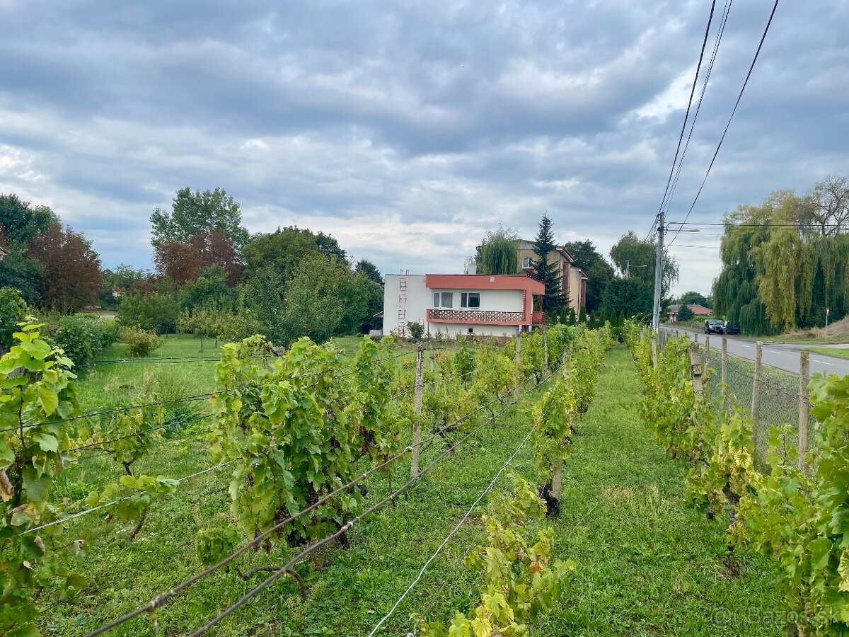 Rodinný dom 230m2 + pozemok 13a - 19