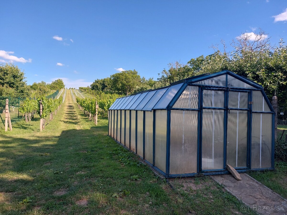 Na predaj vinohradnícka usadlosť v Skalici - 19