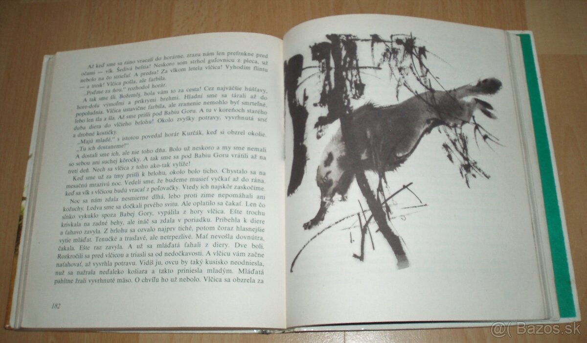 Z poľovníckej kapsy - 19