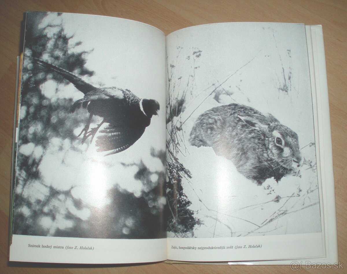 až zazní voláni - 19