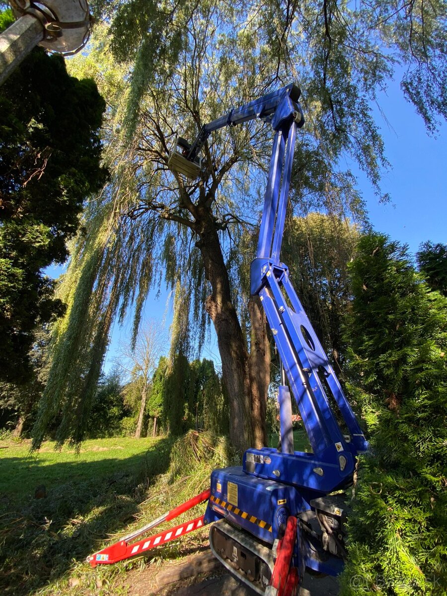 Rizikový výrub, pílenie - 19