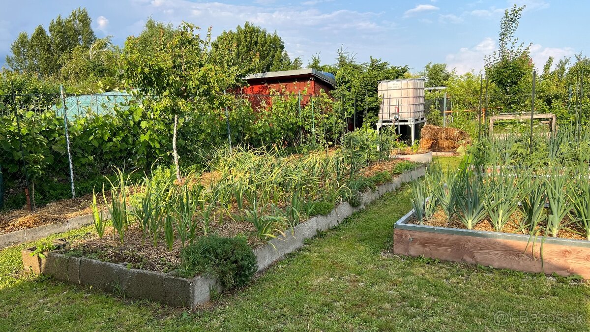 Záhrada s chatkou a studňou – Žabí majer - 19