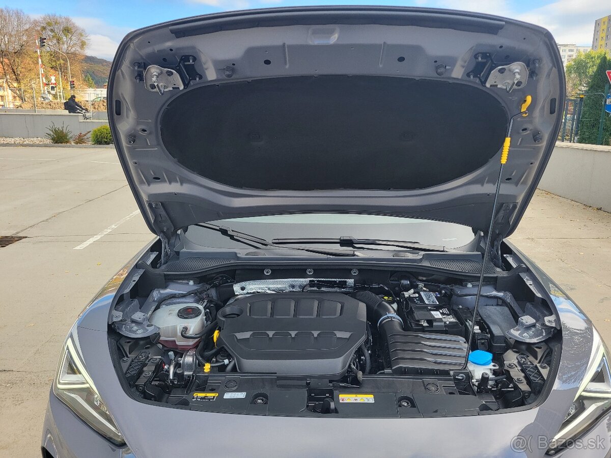 CUPRA FORMENTOR 2.0 TSI 228KW/310K 4Drive 2021 VZ - 19