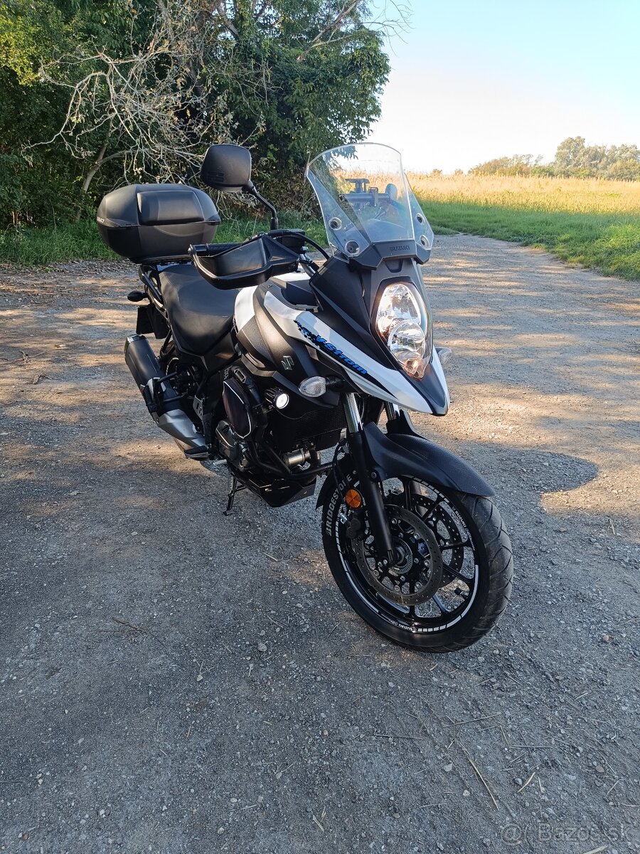 Suzuki v strom - 19