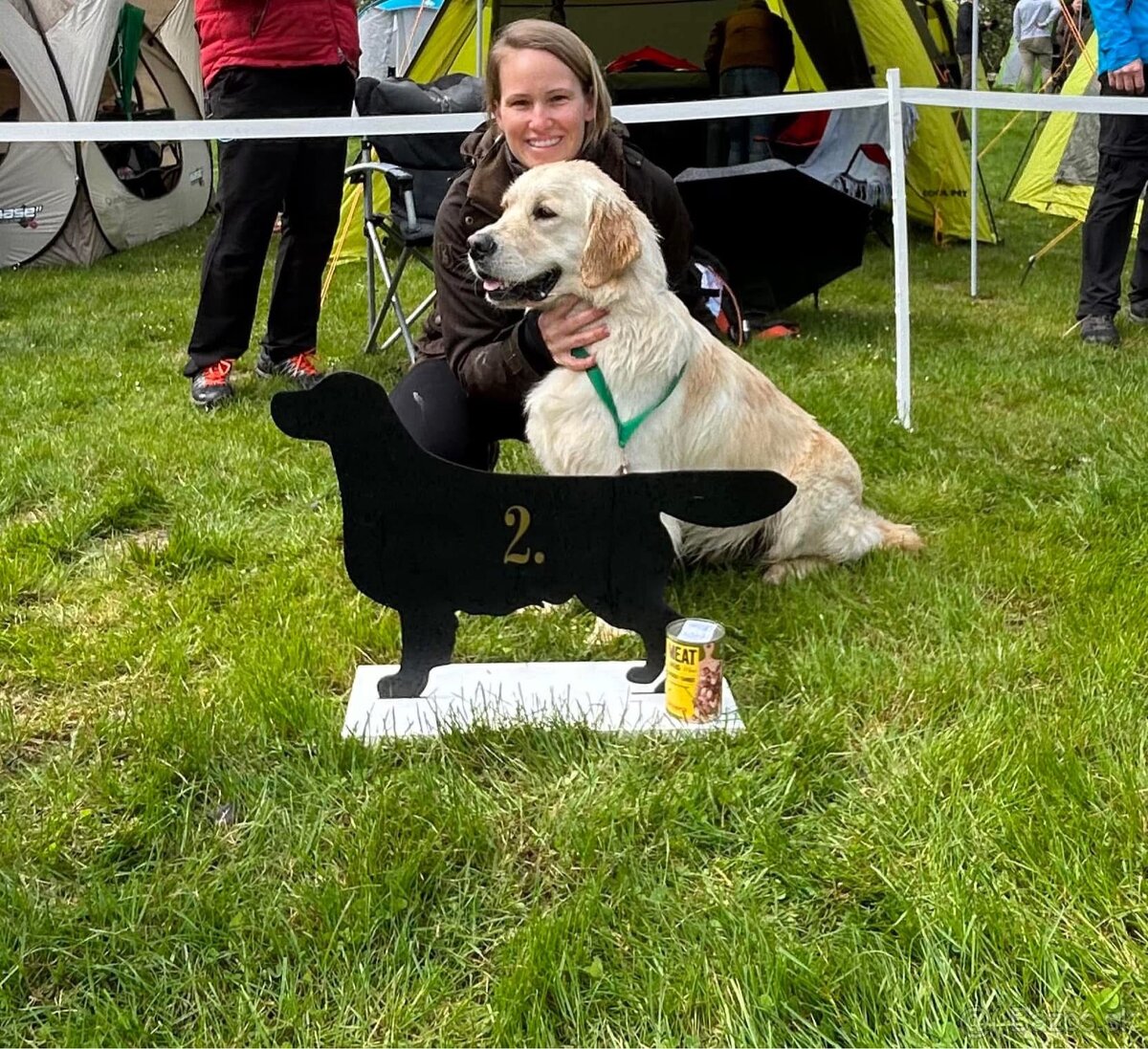 Zlatý retriever - 19