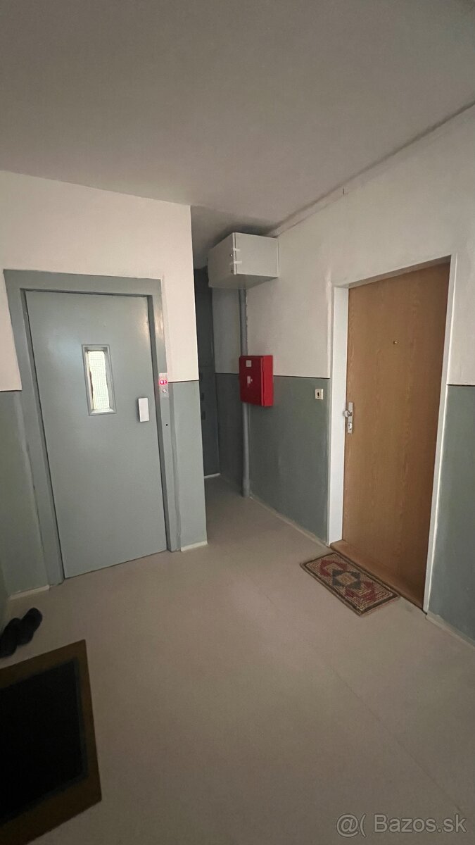 3 Izbovy byt Holleho 57 - 19
