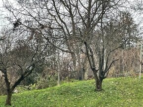 4 - IZBOVÝ PRIESTRANNY BYT NITRA ČERMÁŇ, ZAHRADA, GARAZ - 19