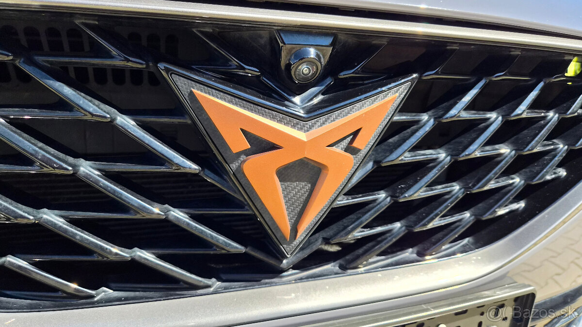 Cupra Formentor 2.0 TSI 245k DSG Veloz - 19