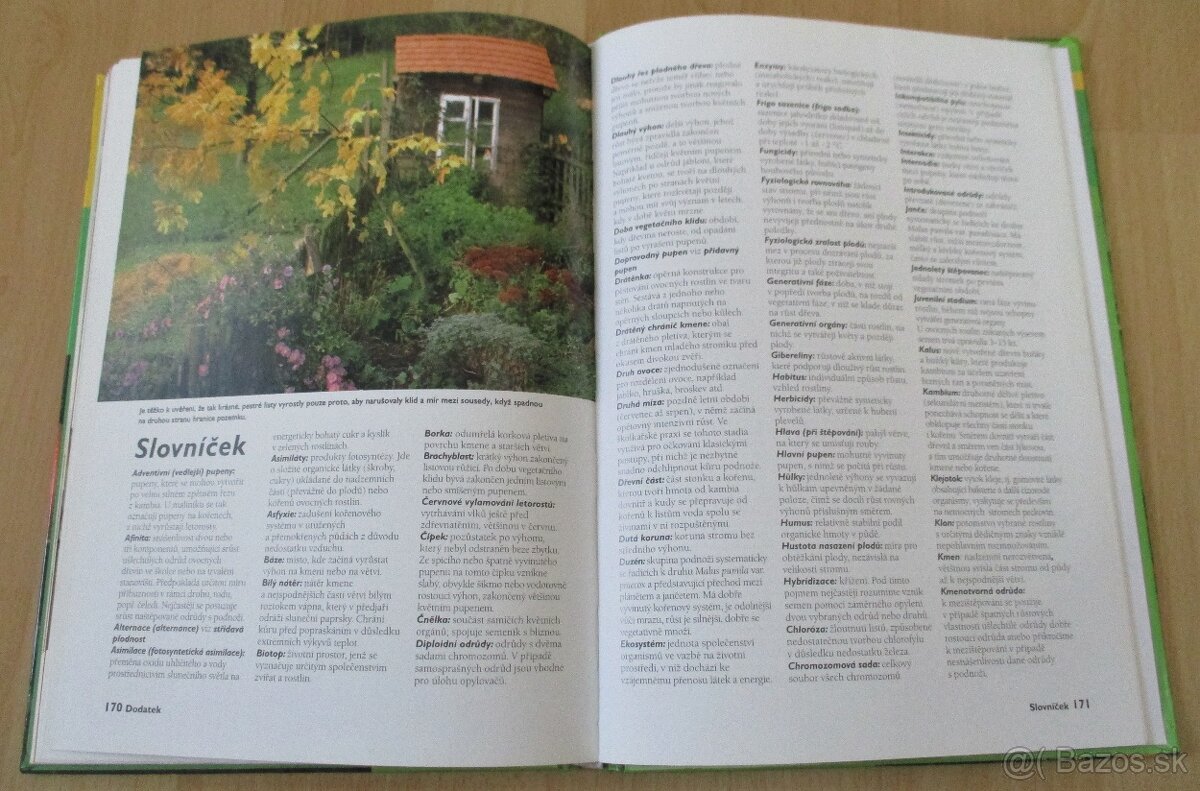 Řez ovocných stromu a keřu - 19