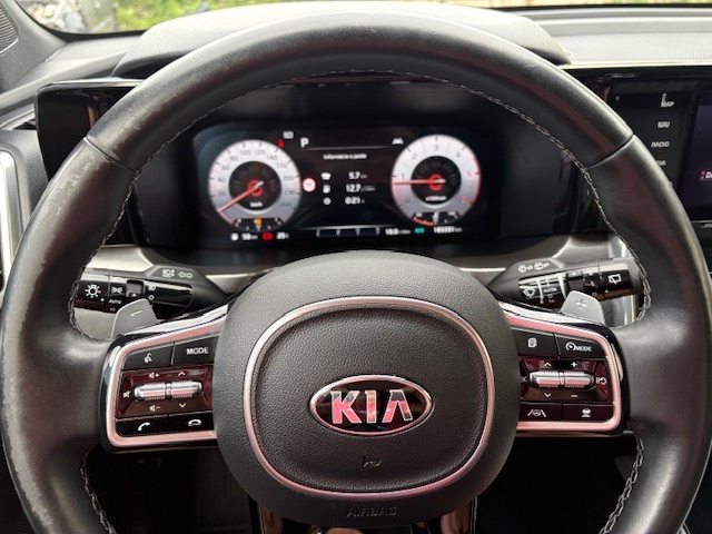 Kia Sorento 2.2 CRDi Platinum 7-miestna - 19