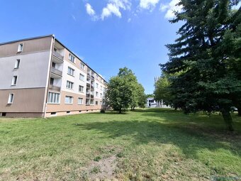 Predaj 3i, TEHLA, LOGGIA, PIVNICA, GARÁŽ – Stupava, Ružová u - 19