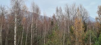 Apartmán Tatry od majiteľa - 19