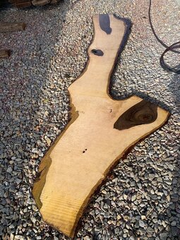 Orechove forsne z krásnou kresbou - 19