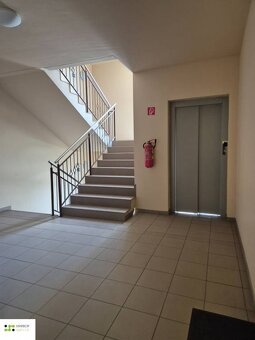 Na predaj 3-izbový byt o výmere 113,61  m² v Borovicovom háj - 19