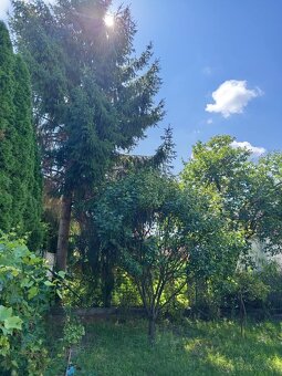 NA predaj rodinný dom v úplnom centre mesta LEvice - 19