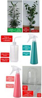 Predám izbové rastliny - 19