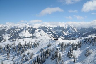 3izbový apartmán s terasou a záhradou v rakúskych Alpách - 19