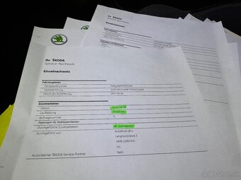 SPORTLINE 4x4 DSG 2.0 TDI 140kw - 19