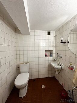 Udržiavaná vinica s chatou, 8500m2, Hrušov - 19