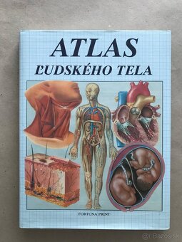 Môj adventný kalendár, Deti ako ja, Deti kapitána Granta - 19