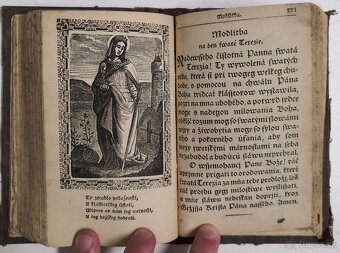 Stepná zahradka 1850 - 19