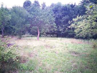 HALO reality - Predaj, rodinný dom Dlžín - ZNÍŽENÁ CENA - EX - 19