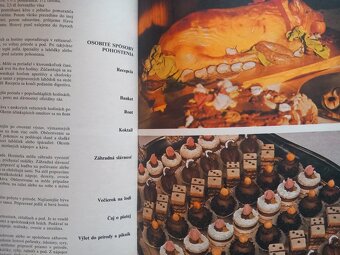 Gazdinkám od A do Z - stará kniha 330 strán, vydanie 1985 - 19