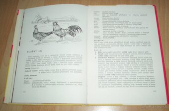 Plemená drubeže - 19