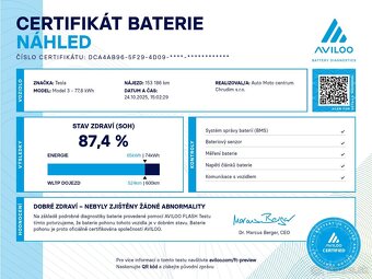 Tesla Model 3 Dual Motor Performance 360 kW SOH 87,4% - 19