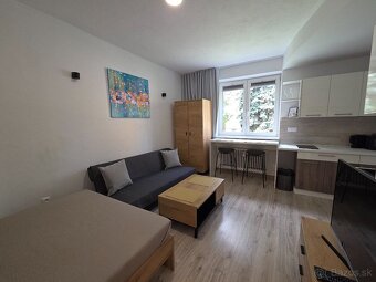 Ubytovanie-Apartmány-BB-Centrum-"Hodinový Hotel" - 19
