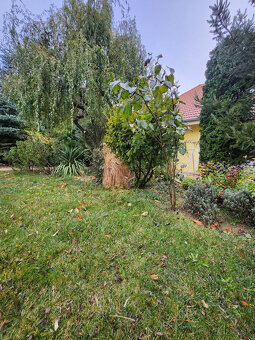 NOVŠÍ, POSCHODOVÝ ROD.DOM NA PEKNOM 11á POZEMKU - 19