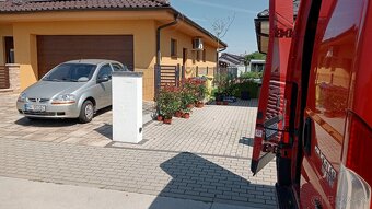 Tuja Smaragd, vavrínovec, červienka - Zvolen - 19