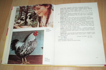 Plemená drubeže – Príručka pro chovatele drubeže, časť III - 19