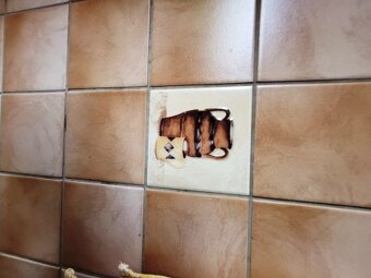 Krásna záhrada s chatkou na južnom svahu aj s IS - 19